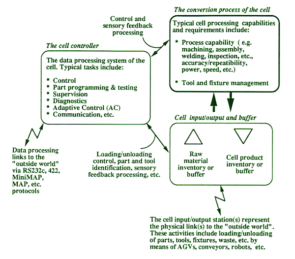 plant cell animal cell venn diagram. hair animal cell diagram and